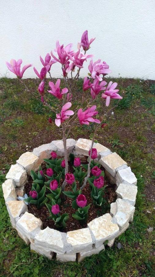 Palme Villa Porec Bagian luar foto
