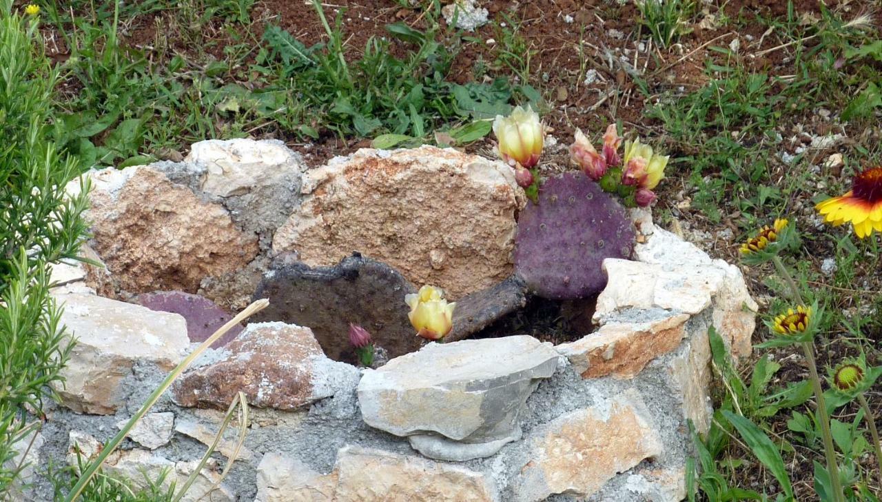 Palme Villa Porec Bagian luar foto