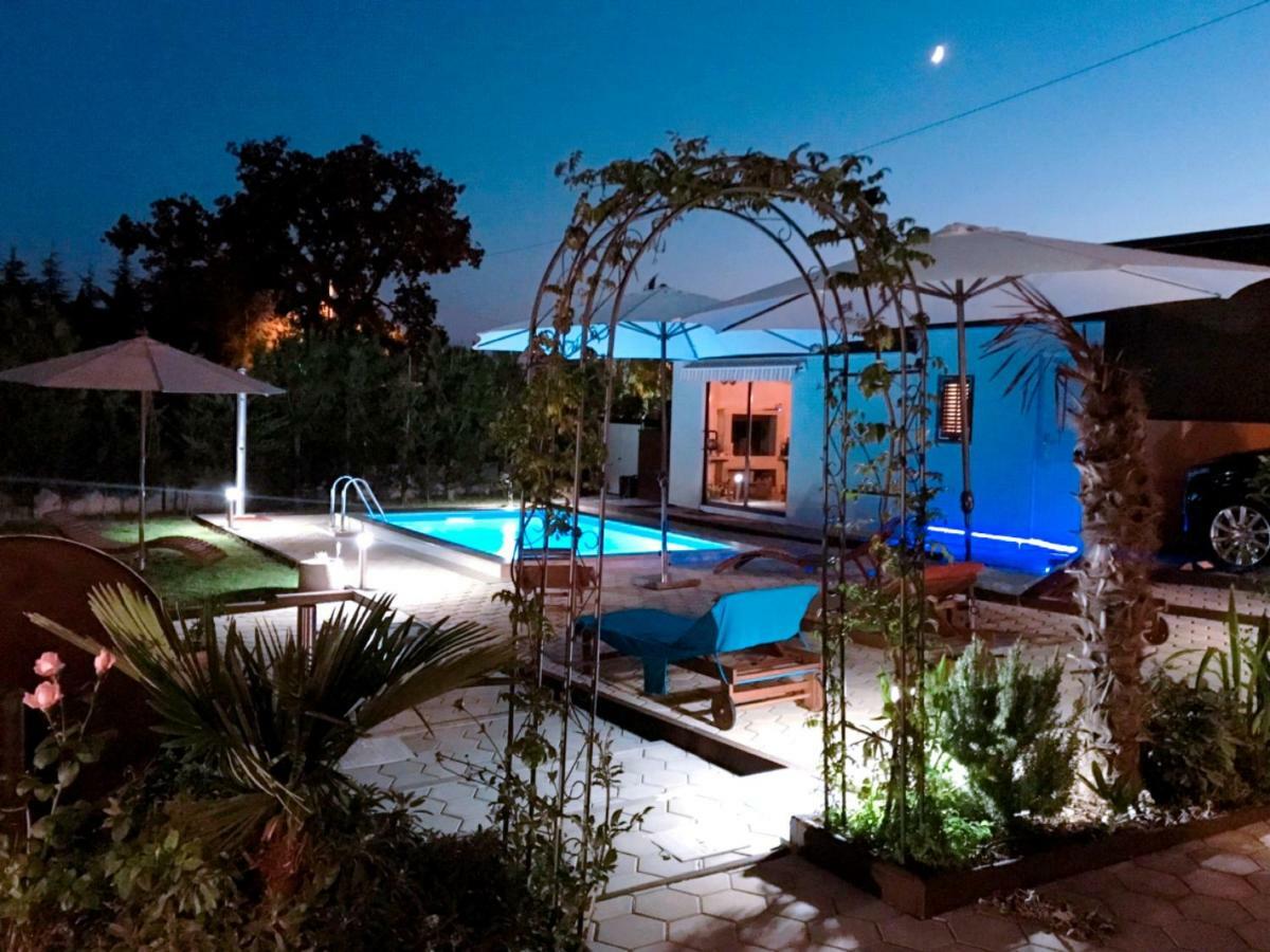 Palme Villa Porec Bagian luar foto