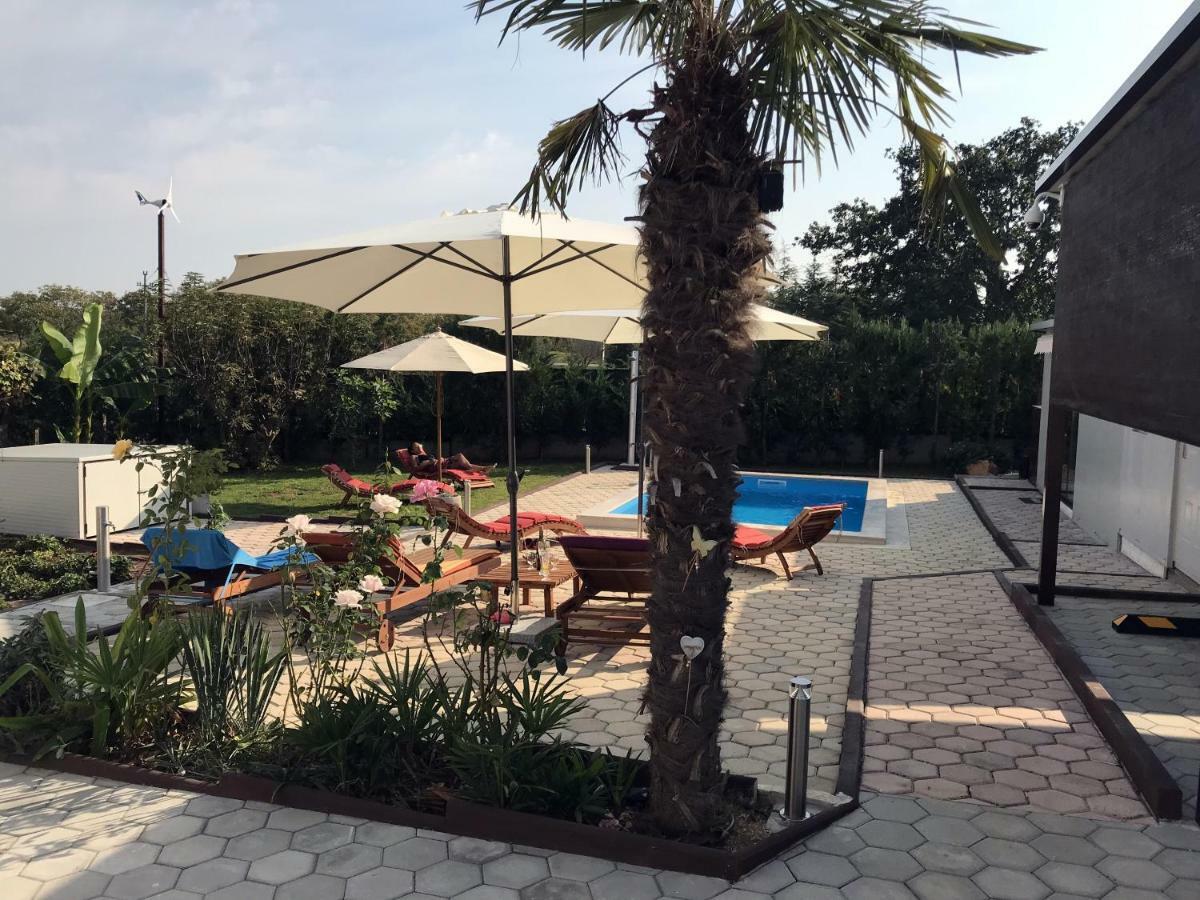 Palme Villa Porec Bagian luar foto